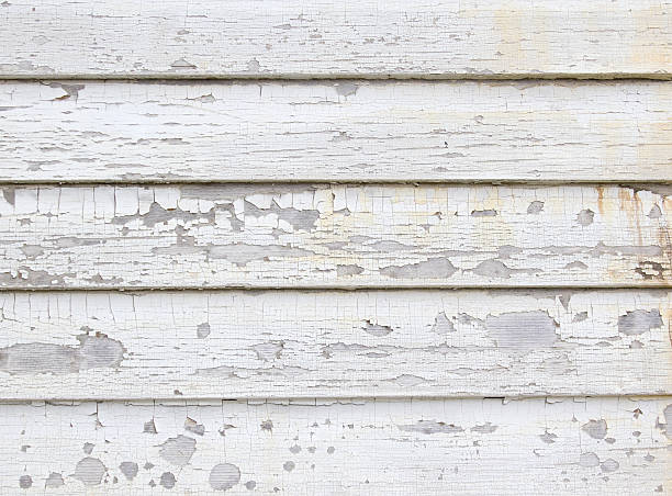 Best Siding Replacement  in Lomira, WI